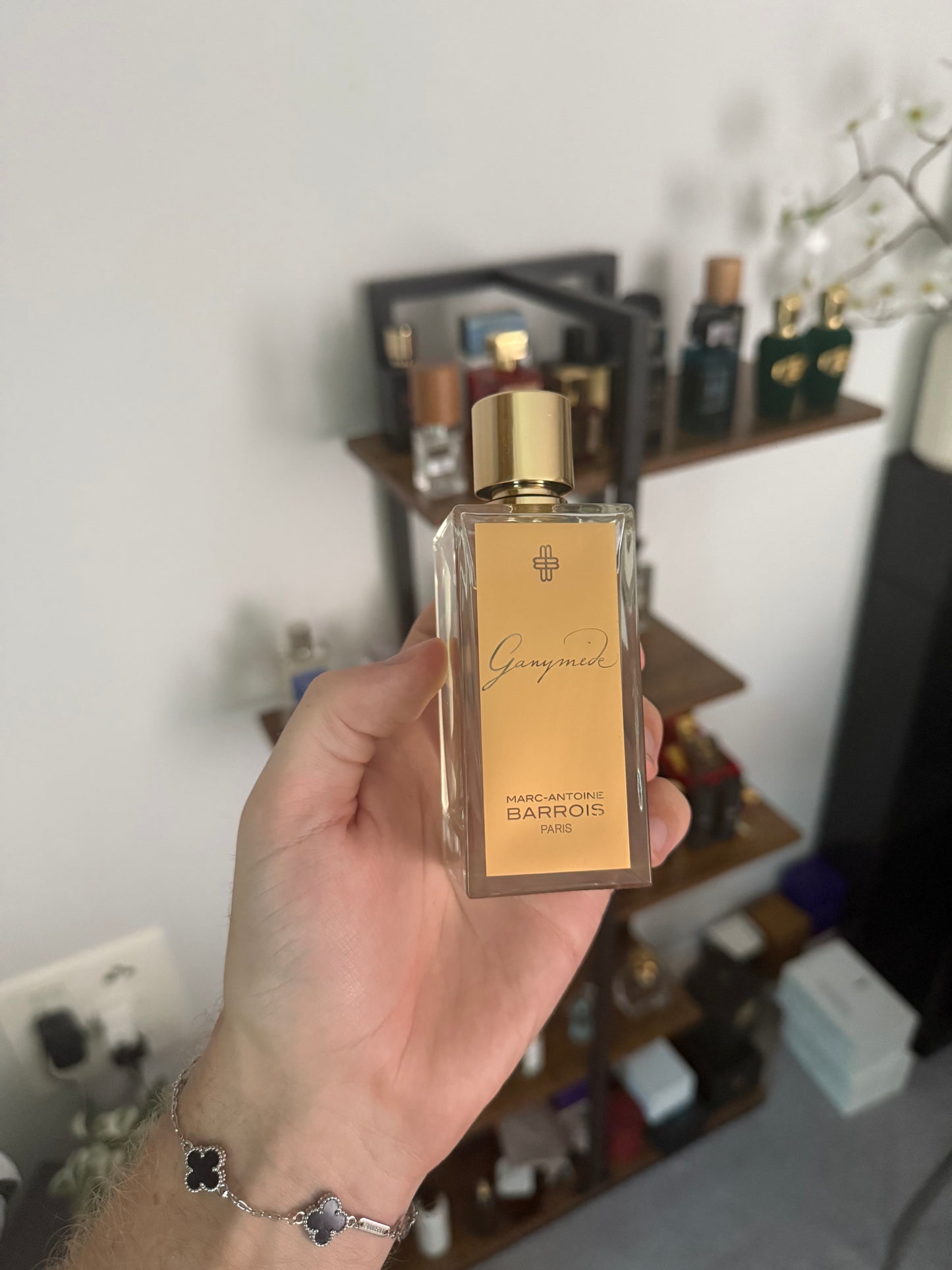 Marc-Antoine Barrois - Ganymede