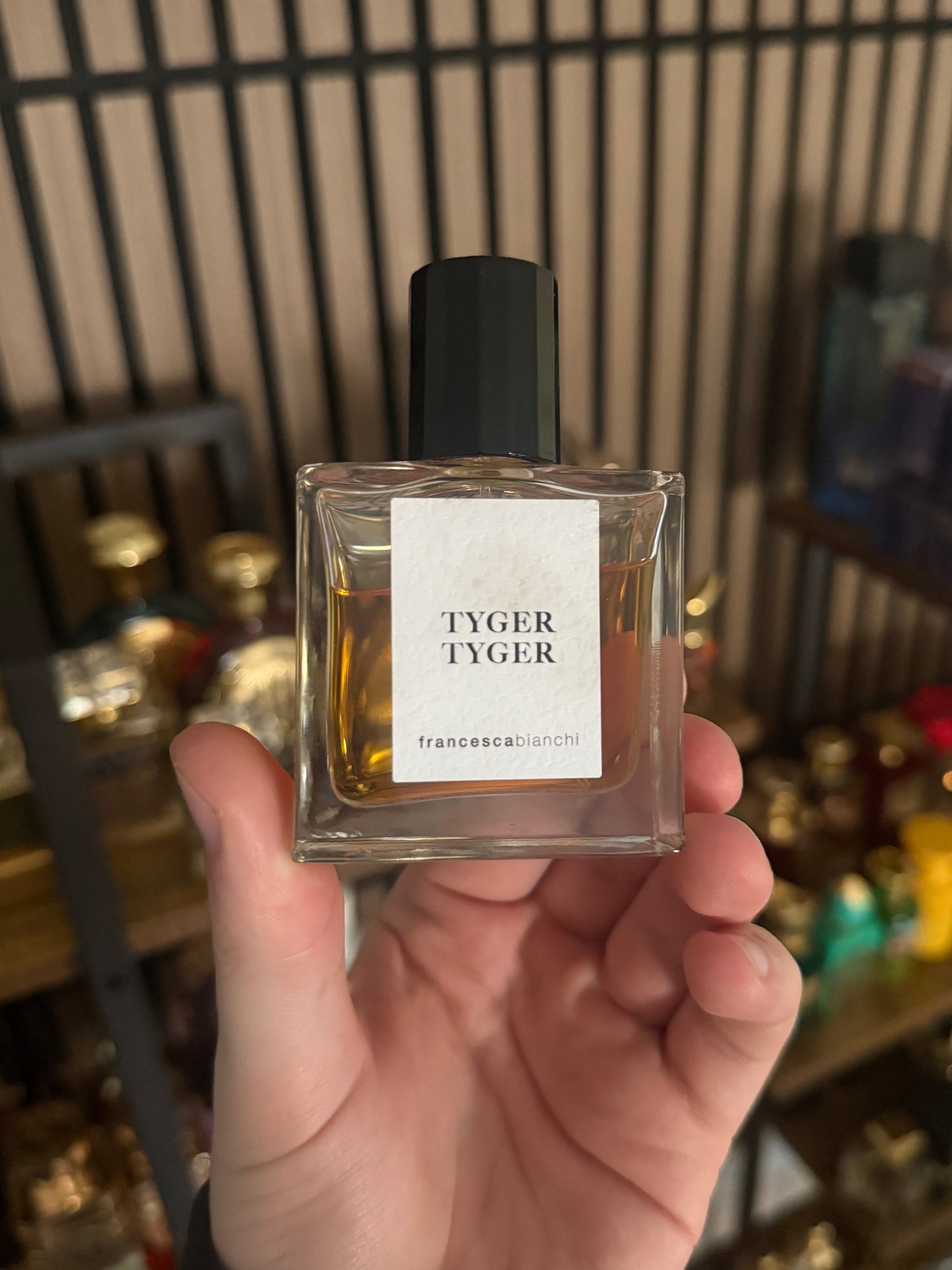 Francesca Bianchi Tyger Tyger