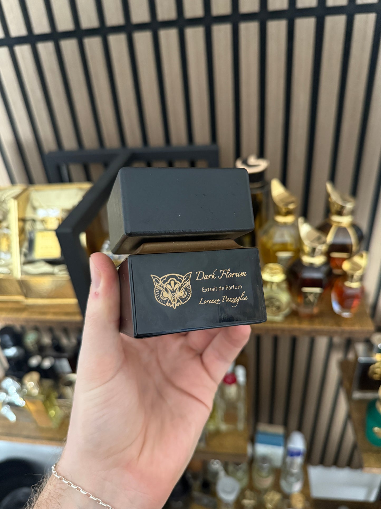 Lorenzo Pazzaglia Dark Florum