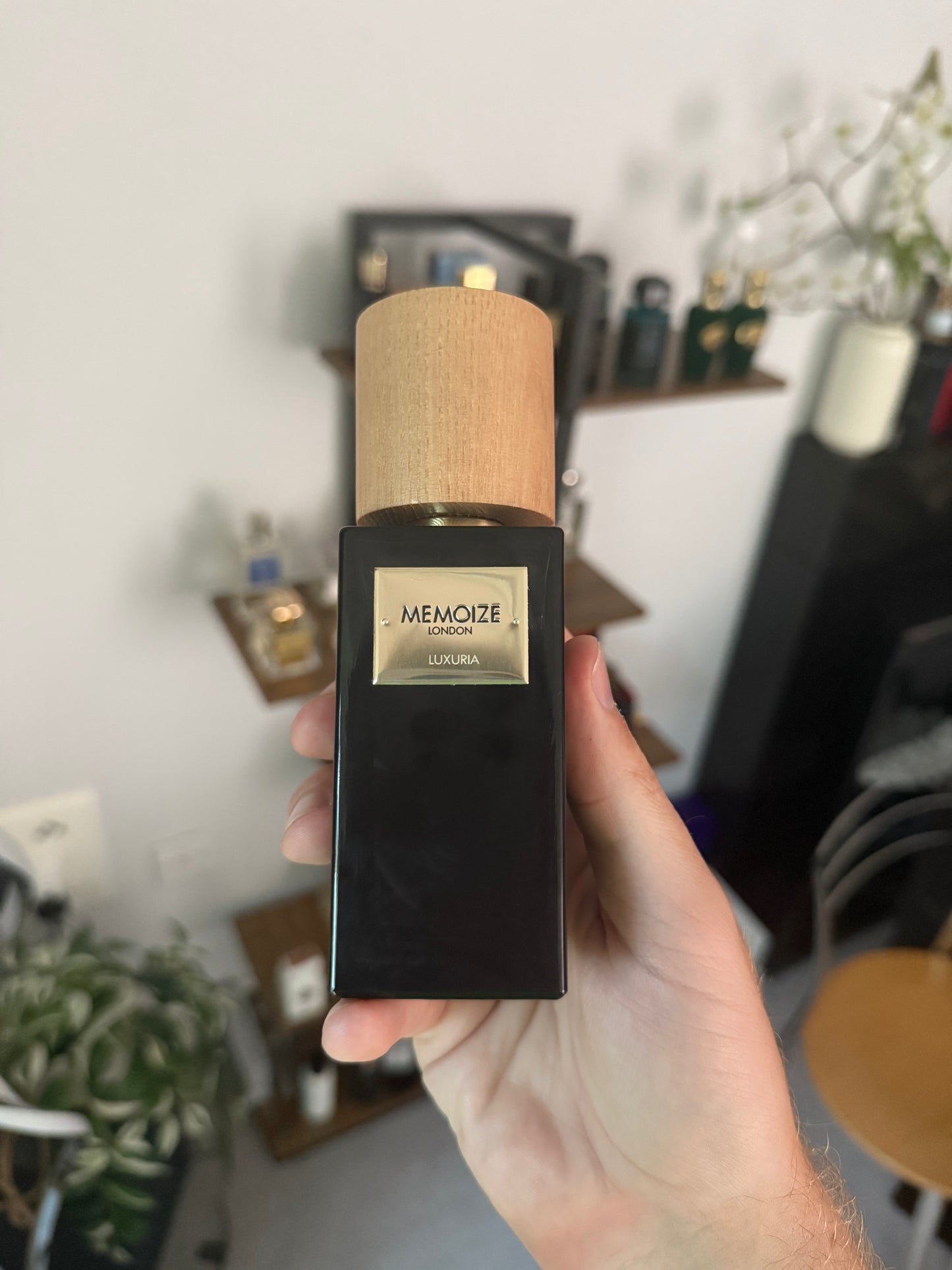 Memoize - Luxuria
