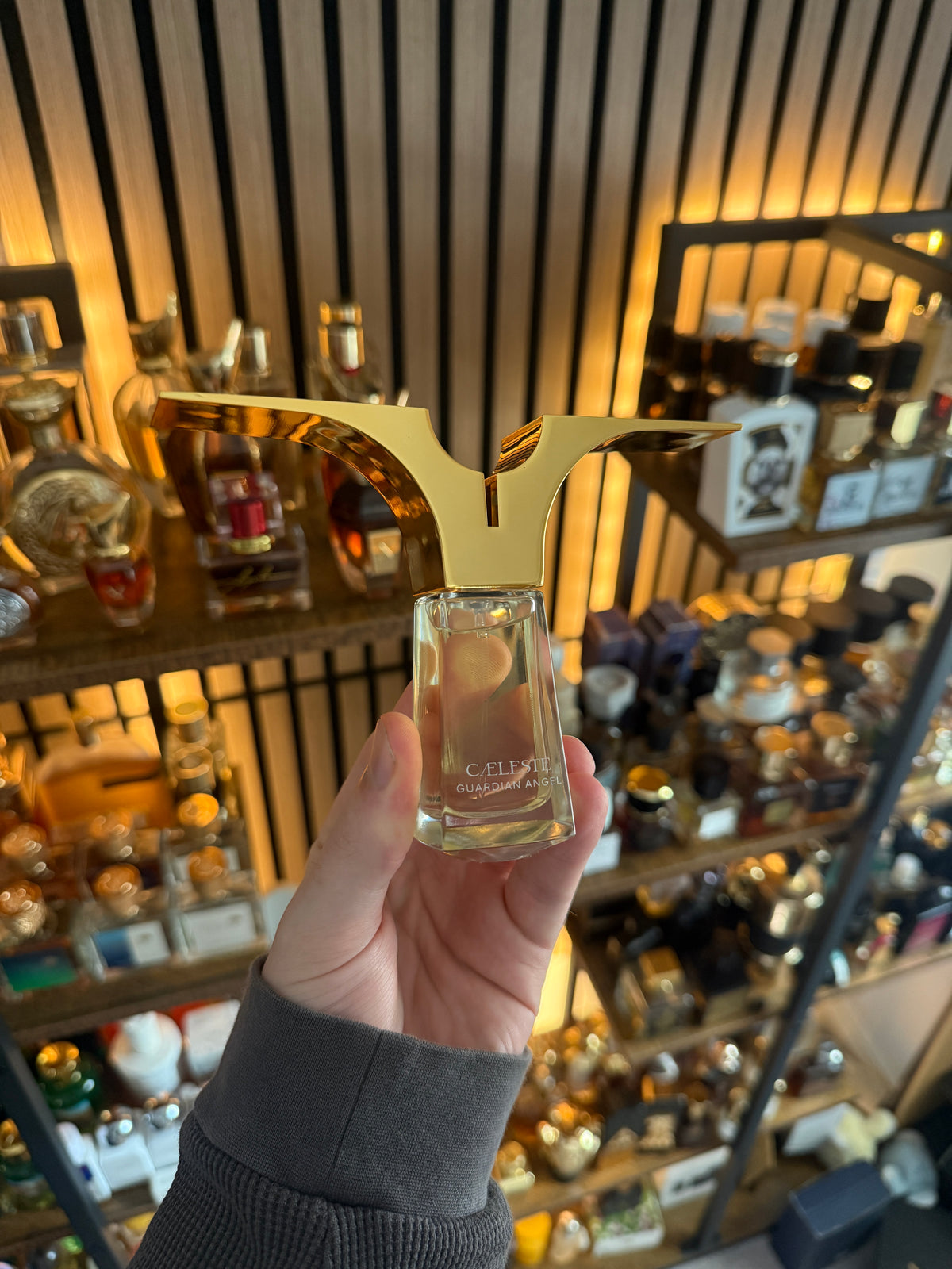 Cæleste Guardian Angel