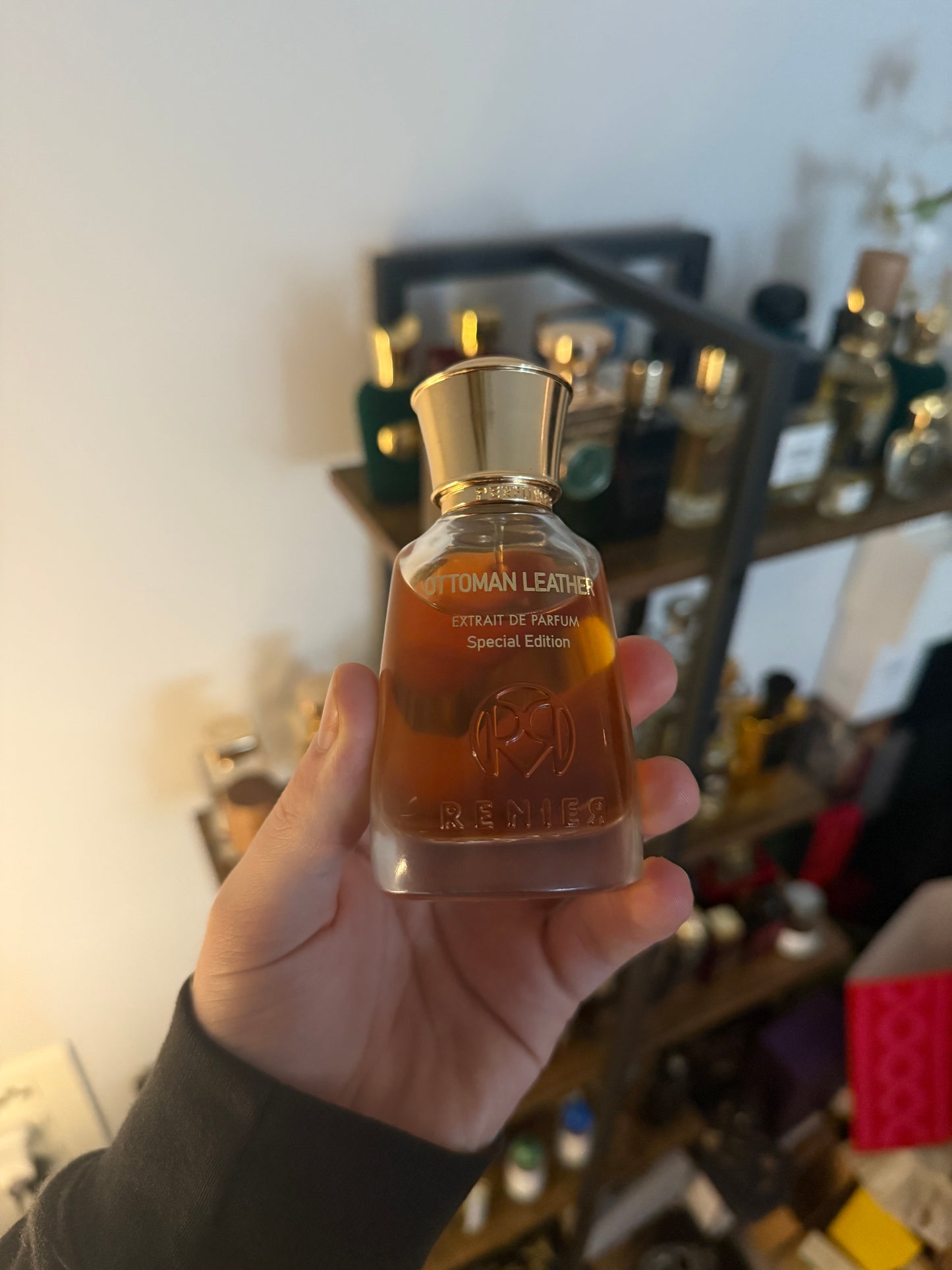 Renier Ottoman Leather