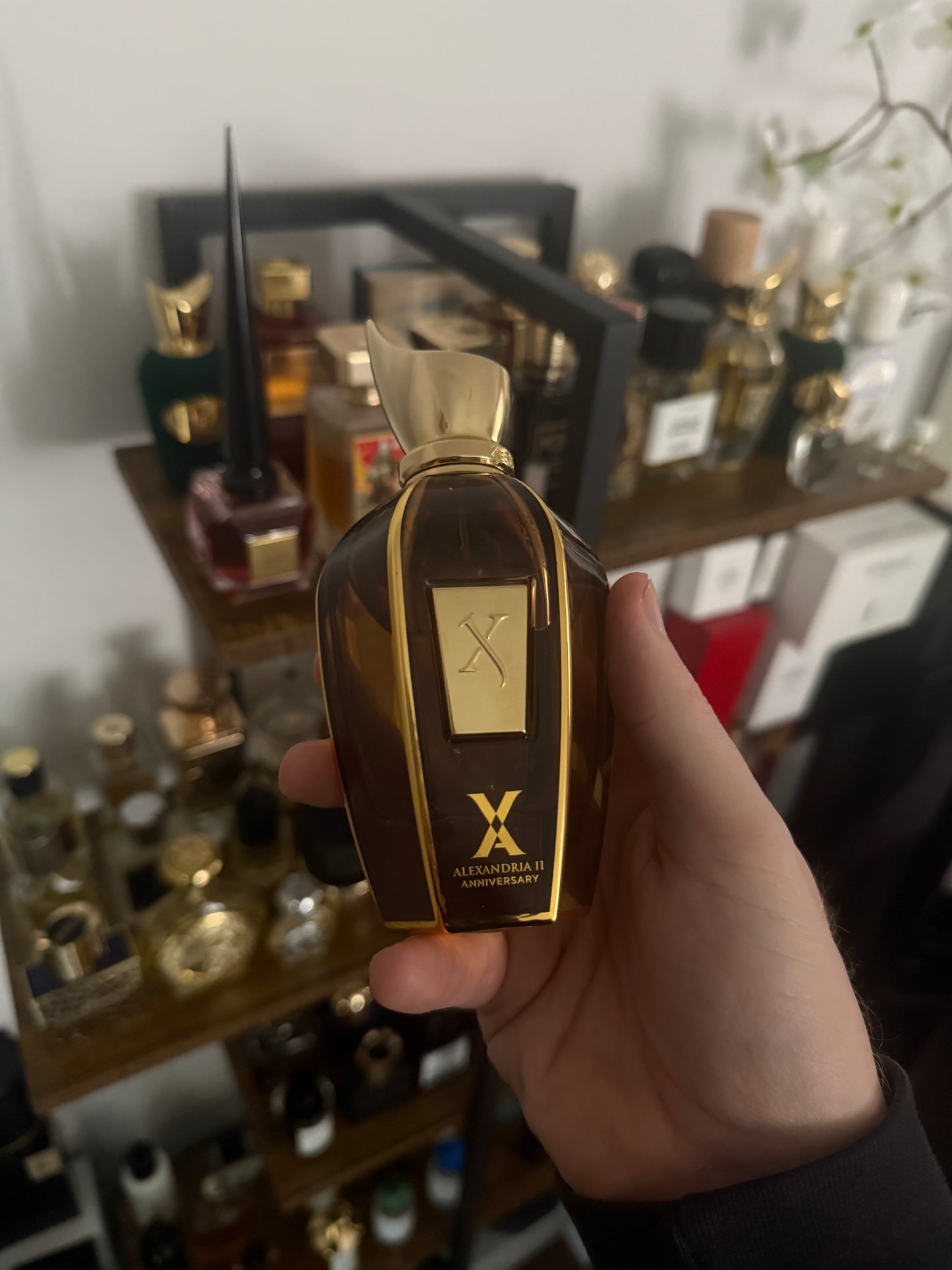 Xerjoff Alexandria II Anniversary