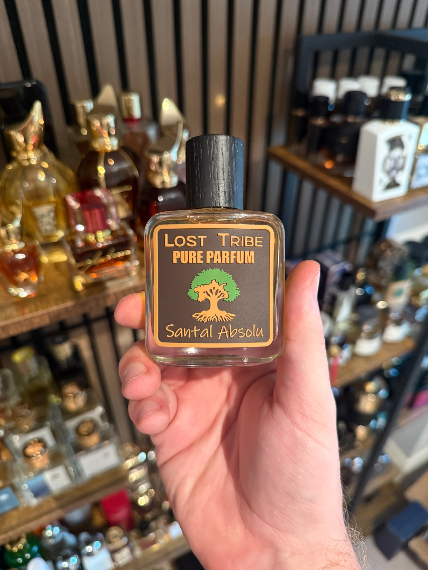 Lost Tribe Santal Absolu