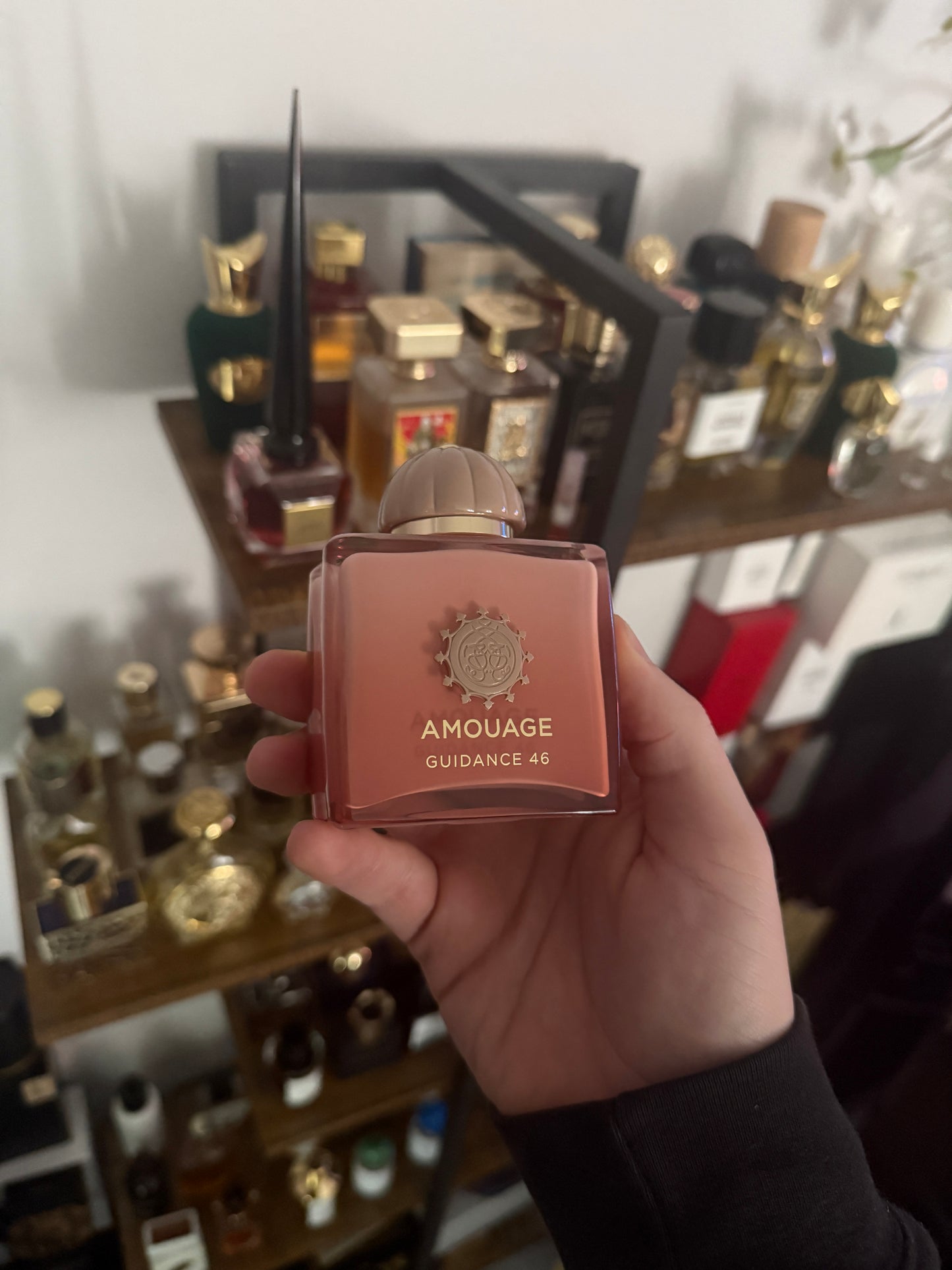 Amouage Guidance 46