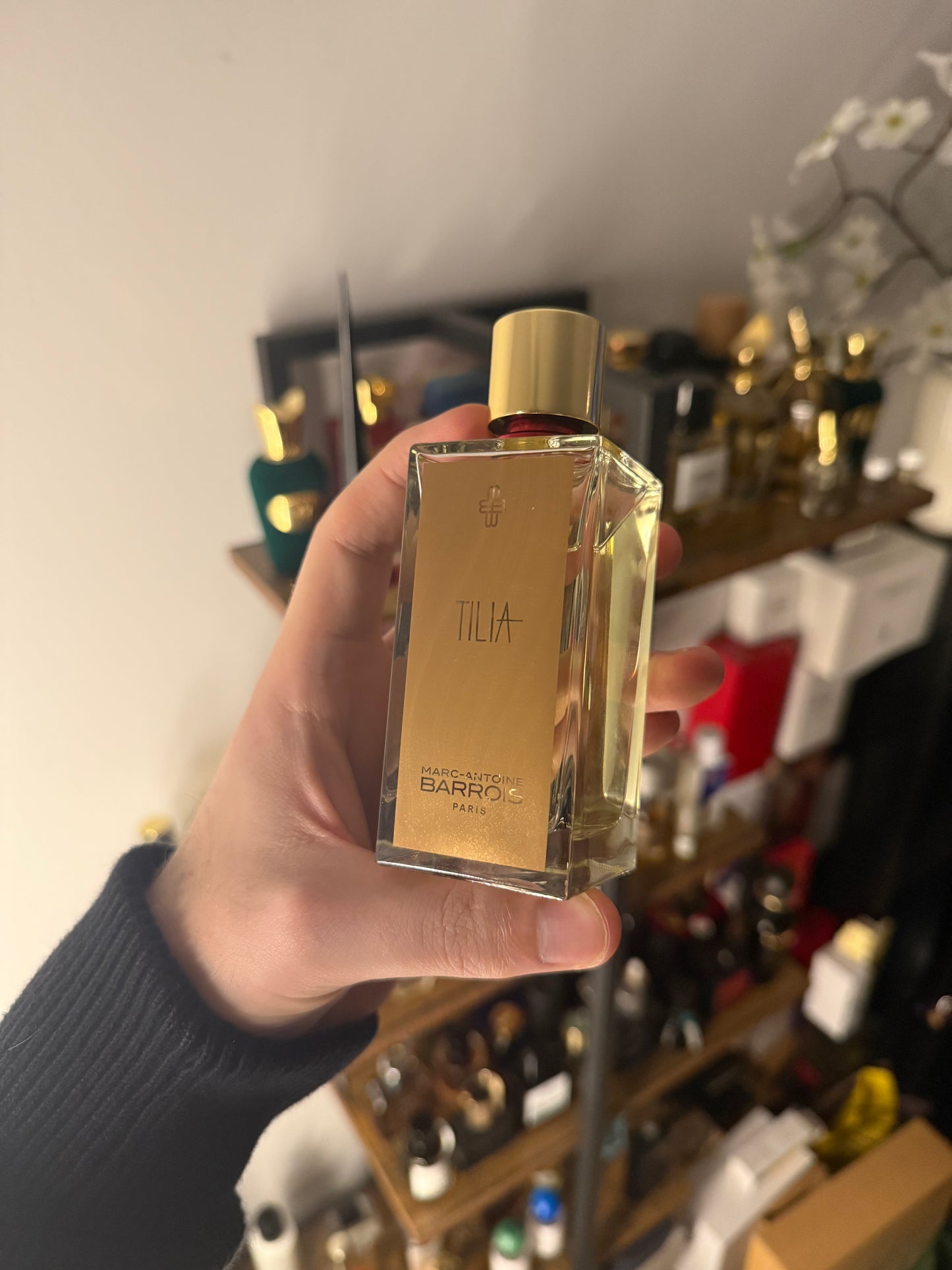 Marc-Antoine Barrois Tilia