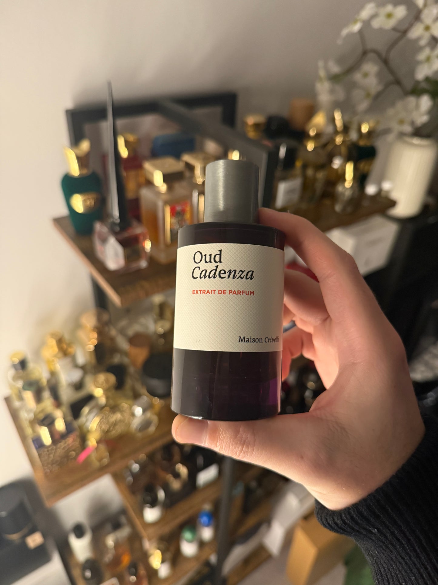 Maison Crivelli Oud Cadenza